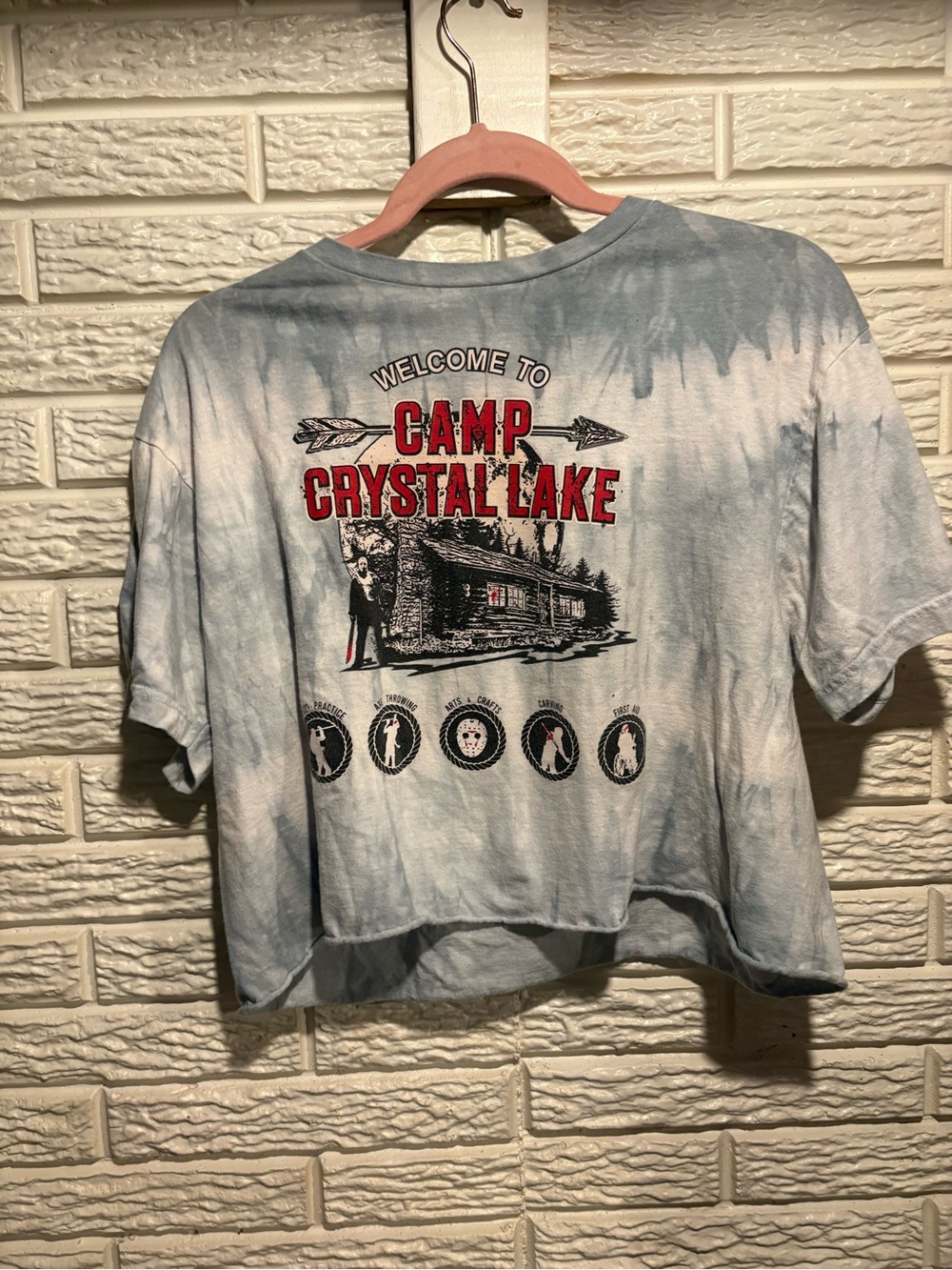 Camp Crystal Lake Crop